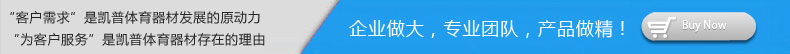 柠檬体育专长,【乒乓球台,篮球架,室外健身器材,现浇塑胶场地】.